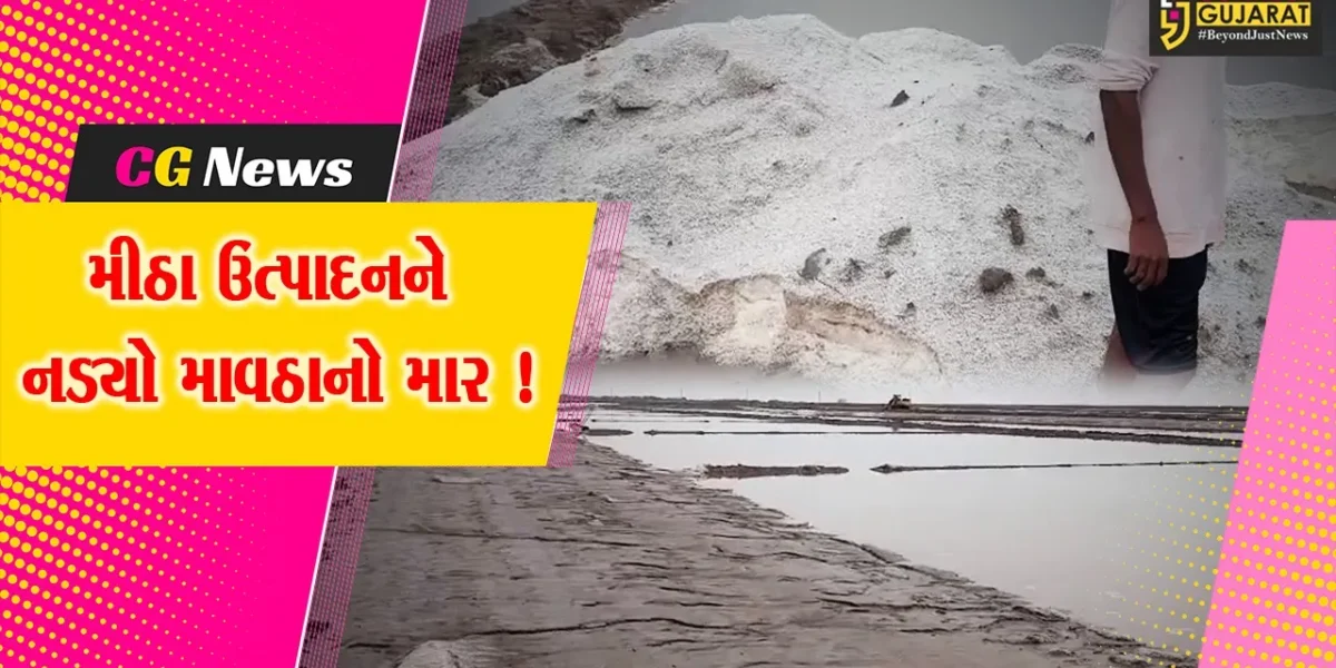 ભરૂચ: કમોસમી વરસાદે મીઠા ઉત્પાદકોને રડાવ્યા, 16 લાખ ટન મીઠુ ઓછું પાકે એવો અંદાજ !