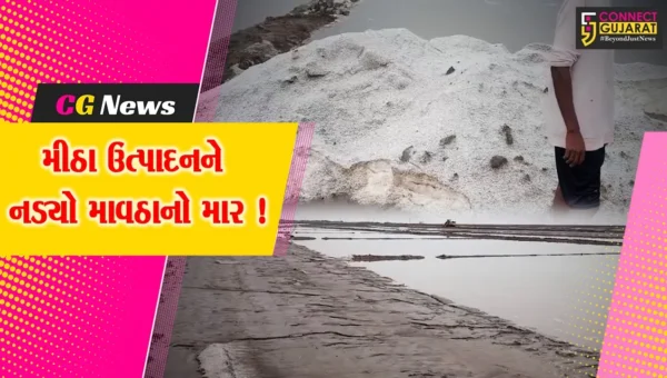 ભરૂચ: કમોસમી વરસાદે મીઠા ઉત્પાદકોને રડાવ્યા, 16 લાખ ટન મીઠુ ઓછું પાકે એવો અંદાજ !
