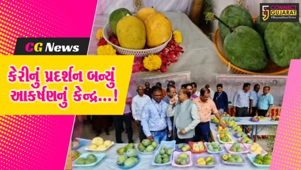 નવસારી : કૃષિ યુનિવર્સિટી દ્વારા કેરીની સ્પર્ધા અને પ્રદર્શન યોજાયું, અવનવી કેરી બની આકર્ષણનું કેન્દ્ર