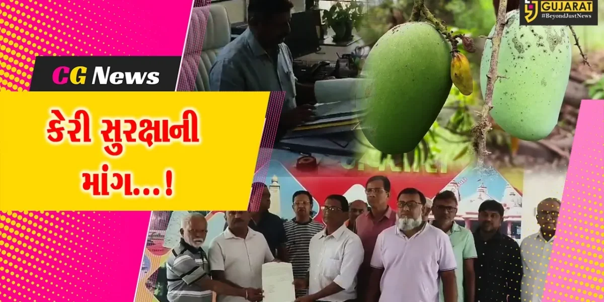 નવસારી : આંબાવાડીની સુરક્ષા માટે ખેડૂતોની માંગ,કેરી ચોરીની ફરિયાદ ઉઠતા ધરતીપુત્રો ચિંતાગ્રસ્ત