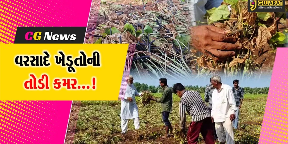 જૂનાગઢ : કમોસમી વરસાદના કારણે ખેડૂતોમાં ચિંતાગ્રસ્ત,ઉનાળુ પાકને ભારે નુકસાનથી ધરતીપુત્રોના લલાટે ચિંતાની લકીર