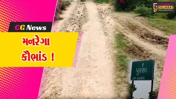 દાહોદ બાદ ભરૂચમાં પણ મનરેગા કૌભાંડ, 2 એજન્સીઓએ 11 ગામોમાં થયેલ કામોમાં ગેરરીતિ આચરી રૂ.19.64 લાખ વસુલ્યા !