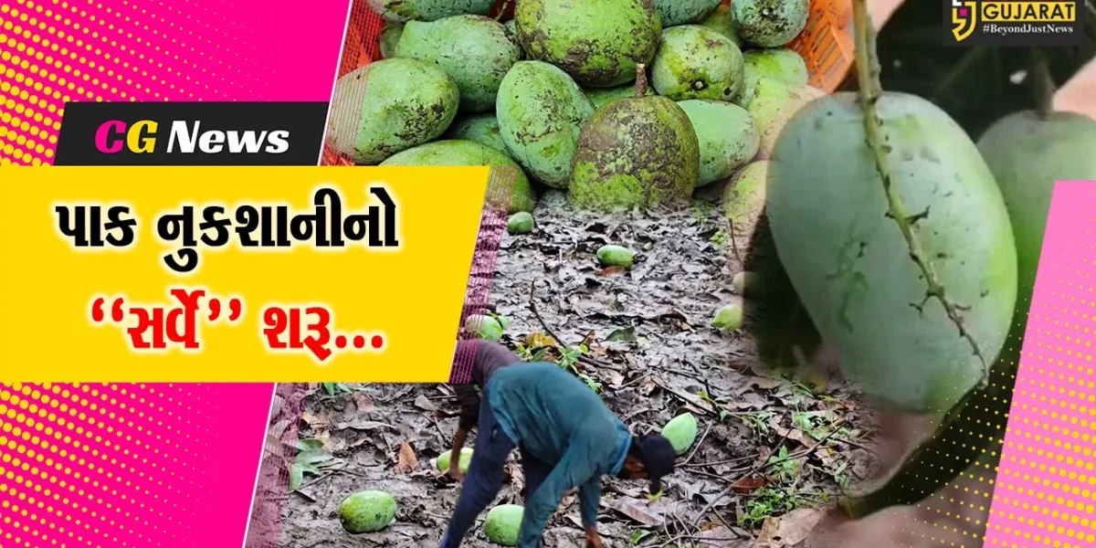 વલસાડ : કમોસમી વરસાદ અને વાવાઝોડાથી ખેતી-બાગાયત પાકને મોટું નુકશાન, સરકાર દ્વારા સર્વે શરૂ કરાયો…