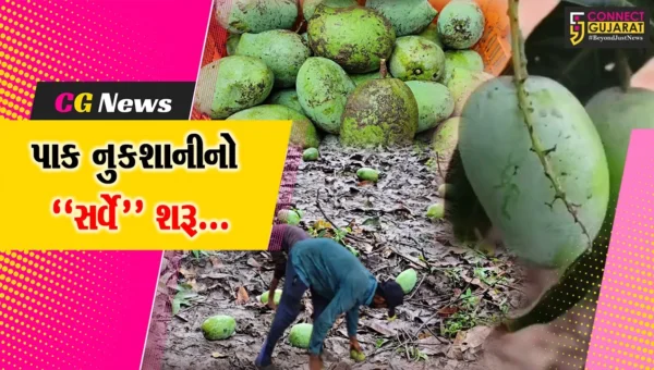 વલસાડ : કમોસમી વરસાદ અને વાવાઝોડાથી ખેતી-બાગાયત પાકને મોટું નુકશાન, સરકાર દ્વારા સર્વે શરૂ કરાયો…