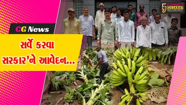 ભરૂચ : વાવાઝોડાના કહેરથી ઝઘડીયા તાલુકાના ખેડૂતો પર આફત, પાક નુકસાની સામે સર્વે કરવા તંત્રને આવેદન…