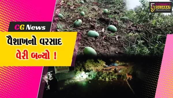 અંકલેશ્વર-હાંસોટ પંથકમાં પોણો ઇંચ જેટલો કમોસમી વરસાદ, ઠેર ઠેર તારાજીના દ્રશ્યો