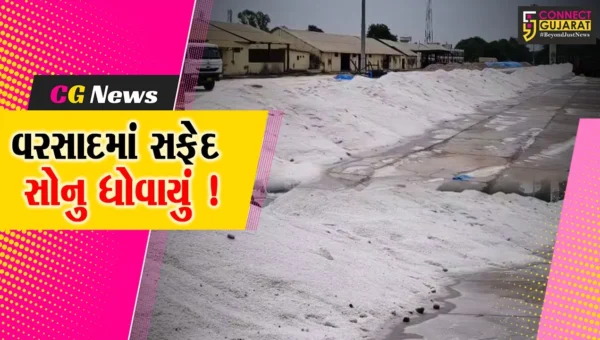 ભરૂચ: કમોસમી વરસાદમા રેલવે ગોદી વિસ્તારમાં પથરાયેલ મીઠું ધોવાયું, કોન્ટ્રાકટરની બેદરકારી સામે આવી !