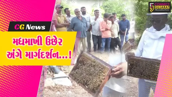સુરેન્દ્રનગર : ધ્રાંગધ્રામાં વિશ્વ મધમાખી દિવસ નિમિત્તે ખેડૂત શિબિર યોજાઈ,મધમાખી ઉછેર અંગે માર્ગદર્શન અપાયું
