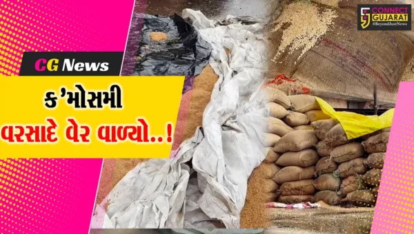 અરવલ્લી : ભિલોડા માર્કેટ યાર્ડમાં ખુલ્લામાં પડેલો અનાજનો જથ્થો સંપૂર્ણપણે પલળી જતાં વેપારીઓને આર્થિક નુકશાન…