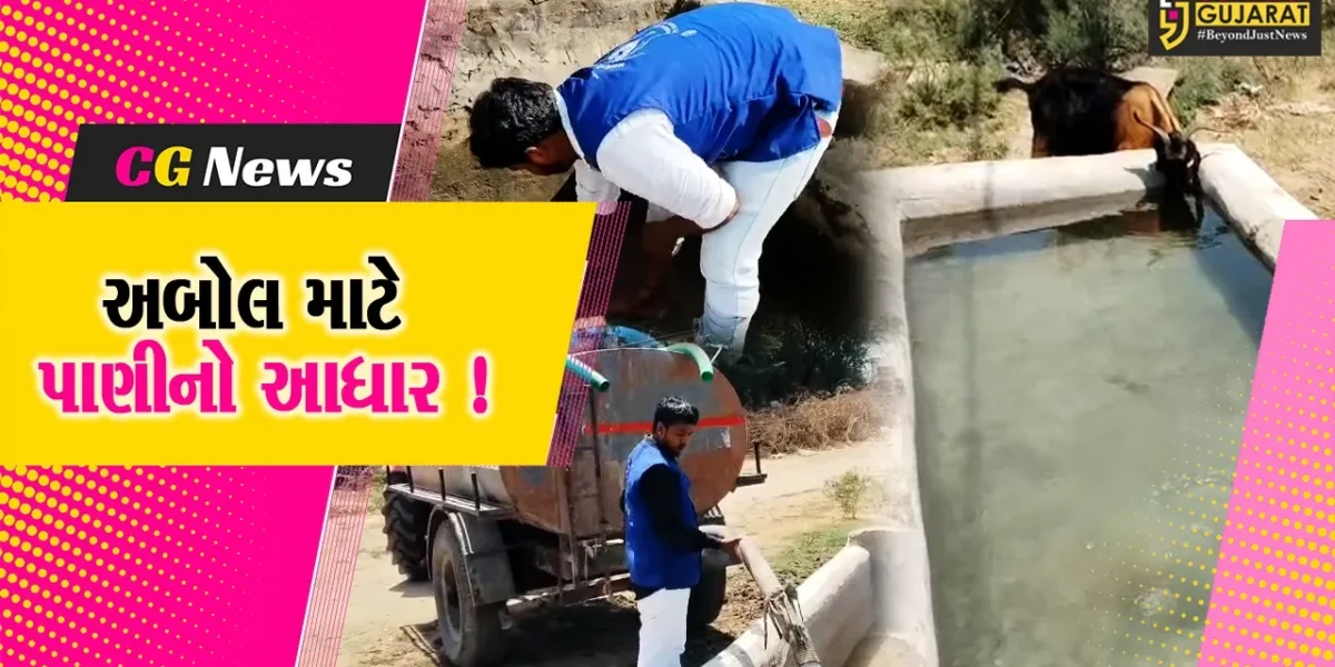 ભરૂચ: મનમૈત્રી સેવા ફાઉન્ડેશનનું સેવાકાર્ય, હવાડાની સફાઈ કરી પ્રાણીઓ માટે પીવાનું પાણી ભરાયુ