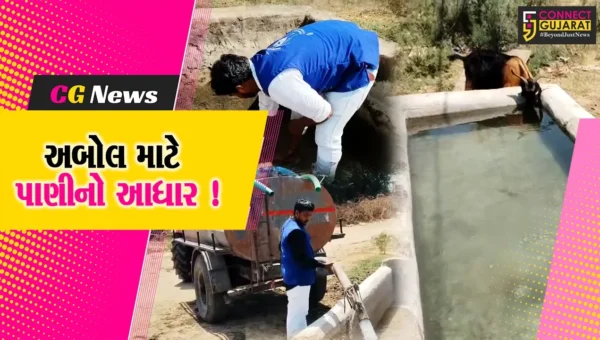 ભરૂચ: મનમૈત્રી સેવા ફાઉન્ડેશનનું સેવાકાર્ય, હવાડાની સફાઈ કરી પ્રાણીઓ માટે પીવાનું પાણી ભરાયુ