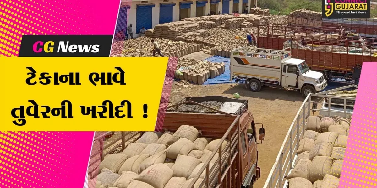 ભરૂચ: વાલિયા APMC દ્વારા ટેકાના ભાવે તુવેરની ખરીદીનો પ્રારંભ, ખેડૂતોમાં ખુશીનો માહોલ
