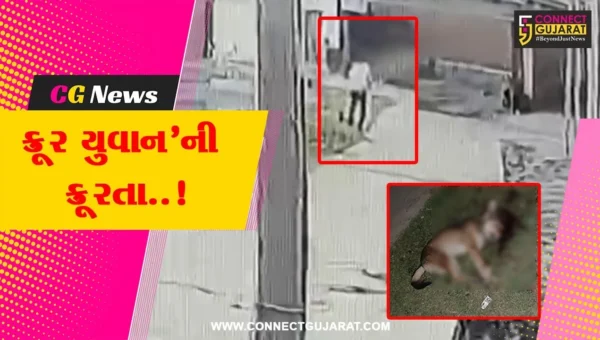 અમરેલી : શ્વાનને ક્રૂરતાપૂર્વક લાકડીના સપાટા મારી મોતને ઘાટ ઉતારતી ઘટના CCTVમાં કેદ, જીવદયા પ્રેમીએ નોંધાવી ફરિયાદ…