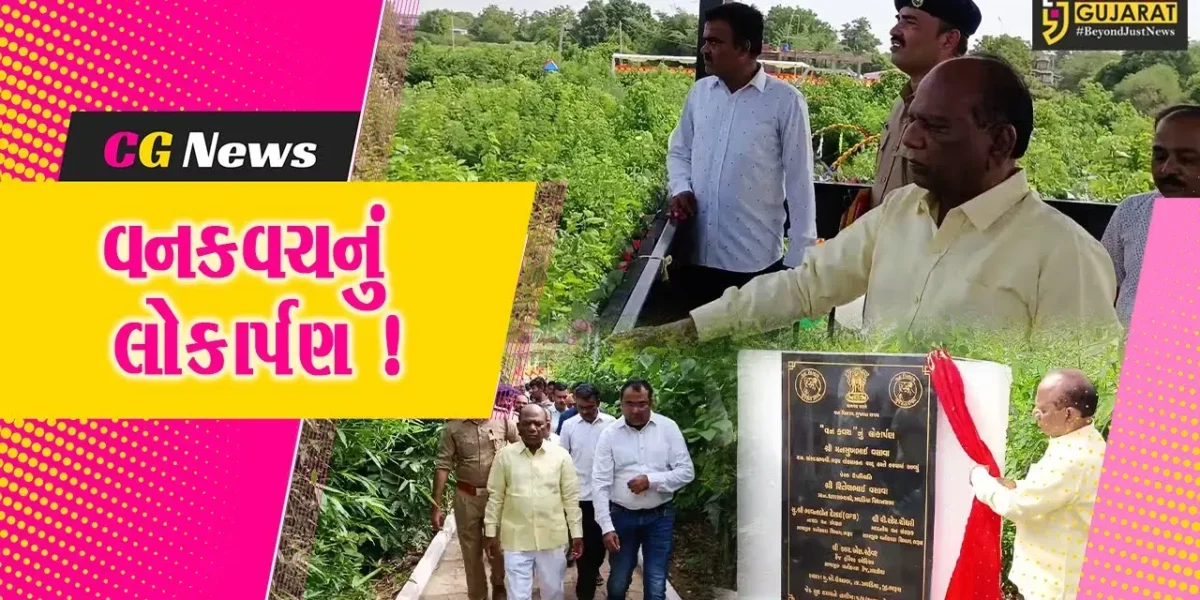 ભરૂચ: સાંસદ મનસુખ વસાવાના હસ્તે ઝઘડિયાના હરીપુરા ગામ નજીક વનકવચનું લોકાર્પણ, 20 હજાર વૃક્ષનું કરાયુ વાવેતર