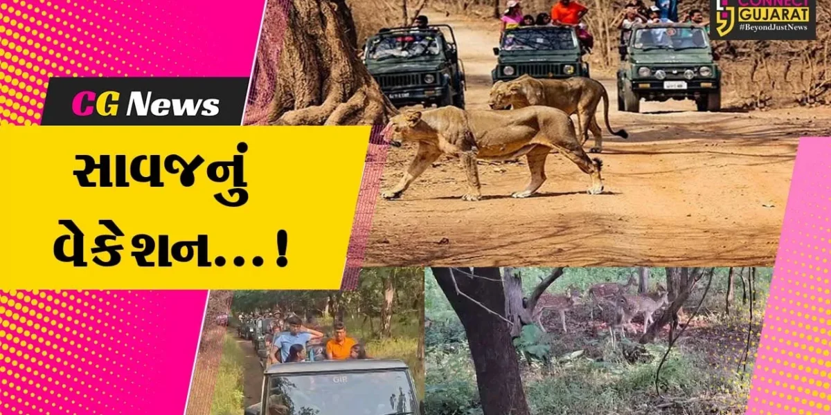 જૂનાગઢ : ગીર જંગલમાં વનરાજનું વેકેશન,15 જૂનથી 16 ઓક્ટોબર સુધી પ્રવાસીઓ માટે અભયારણ્ય બંધ