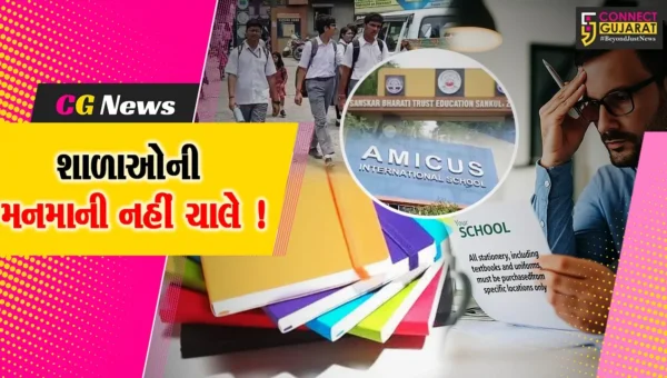ભરૂચ: શિક્ષણના વ્યાપારીકરણ સામે DEOની લાલ આંખ,2 શાળાઓને નોટીસ ફટકારી ખુલાસો માંગતા ખળભળાટ