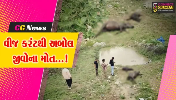 અંકલેશ્વર : કોસમડી ગામે વીજ તાર તૂટીને પડવાથી બે અબોલ પશુઓના વીજ કરંટથી મોત