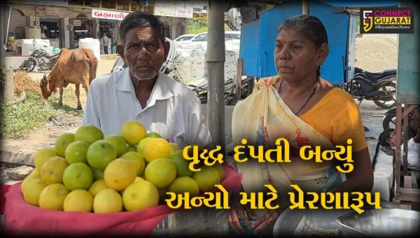 અંકલેશ્વરનું વૃદ્ધ દંપતી જીવનના સંઘર્ષને સ્વીકારીને જિંદગીને ચેતનવંતી રાખવાની અન્યોને આપે છે પ્રેરણા…