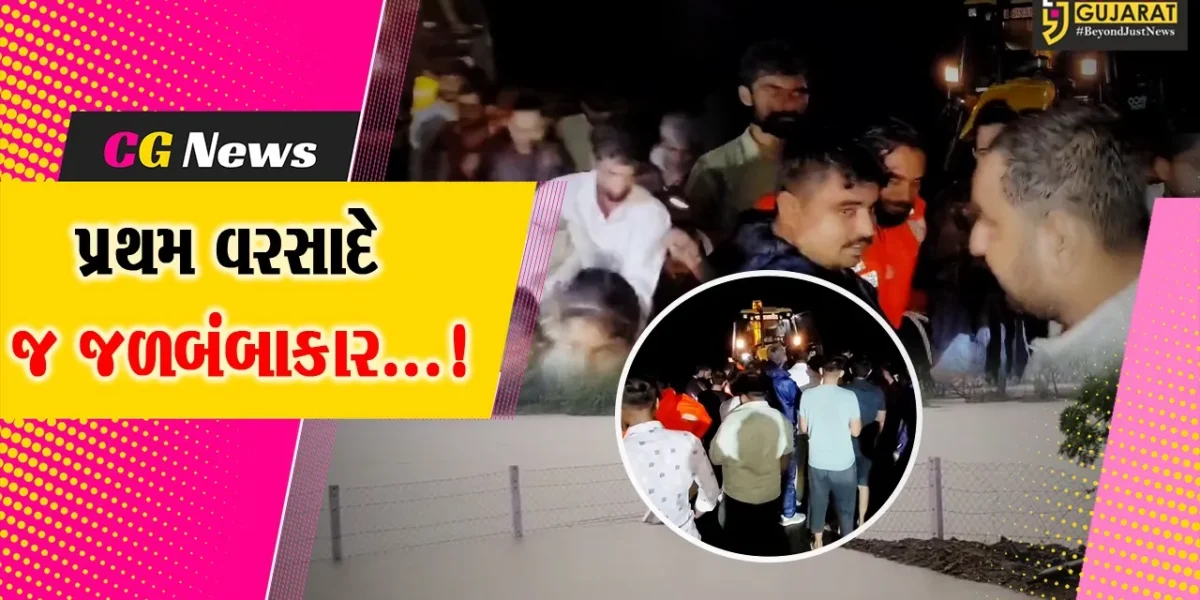 ભાવનગર : પાલીતાણા શહેર અને તાલુકામાં મેઘરાજાનો તોફાની મિજાજ,12 ઈંચ વરસાદથી ઠેર ઠેર પાણી ભરાયા