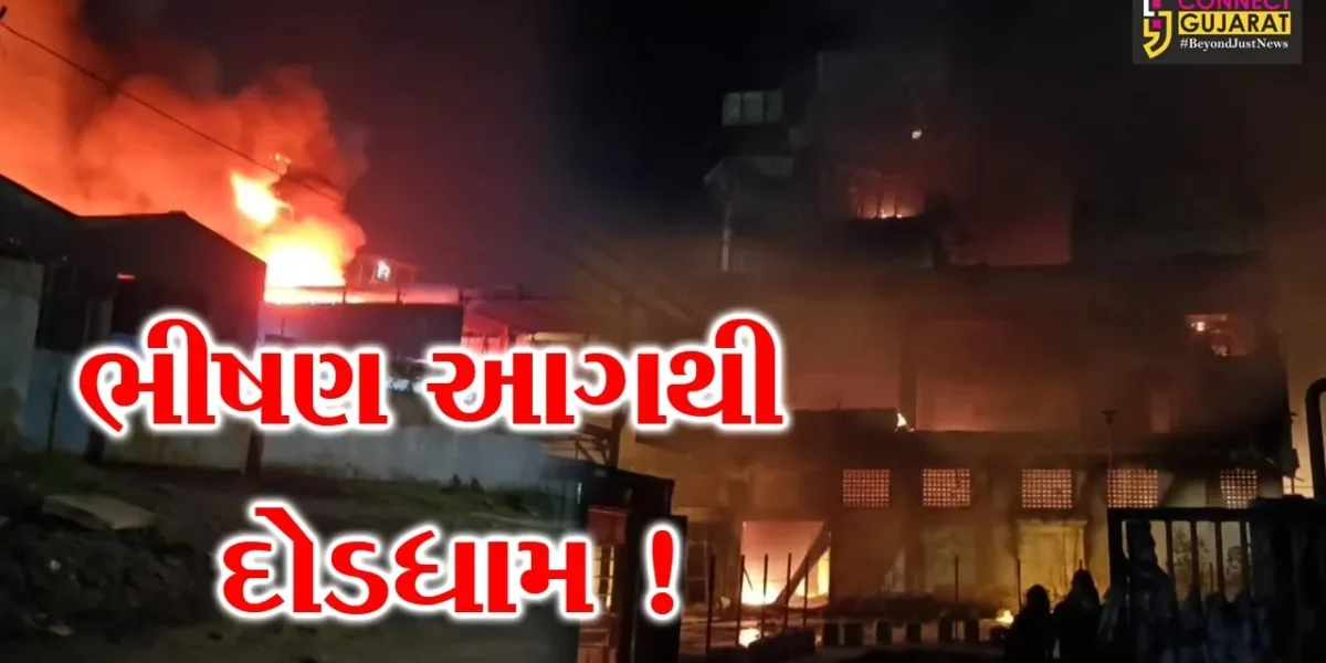 અંકલેશ્વર: પાનોલી GIDCની સ્ટરલાઈટ કંપનીમાં ભીષણ આગથી દોડધામ,5 ફાયર ફાયટરોએ આગ પર મેળવ્યો કાબુ