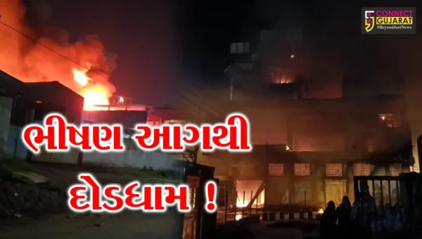 અંકલેશ્વર: પાનોલી GIDCની સ્ટરલાઈટ કંપનીમાં ભીષણ આગથી દોડધામ,5 ફાયર ફાયટરોએ આગ પર મેળવ્યો કાબુ
