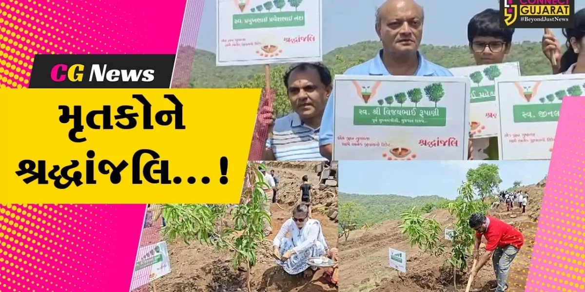 અમરેલી : પી.પી.સવાણી ગ્રુપ દ્વારા વૃક્ષારોપણ કરીને પ્લેન ક્રેશના મૃતકોને પાઠવી શ્રદ્ધાંજલિ