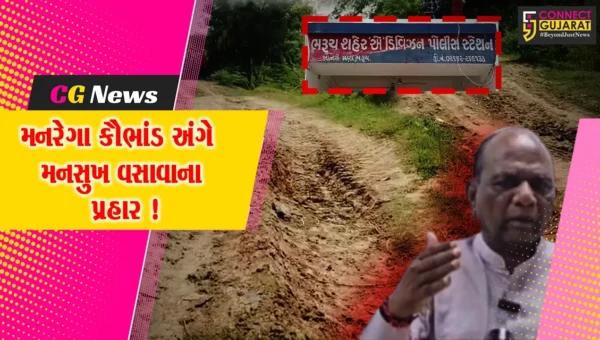 ભરૂચ:મનરેગા જેવા કૌભાંડમાં નાના કર્મચારીઓનો ભોગ લેવાય છે, જવાબદારી ગાંધીનગર સુધીના અધિકારીની હોય છે: મનસુખ વસાવા