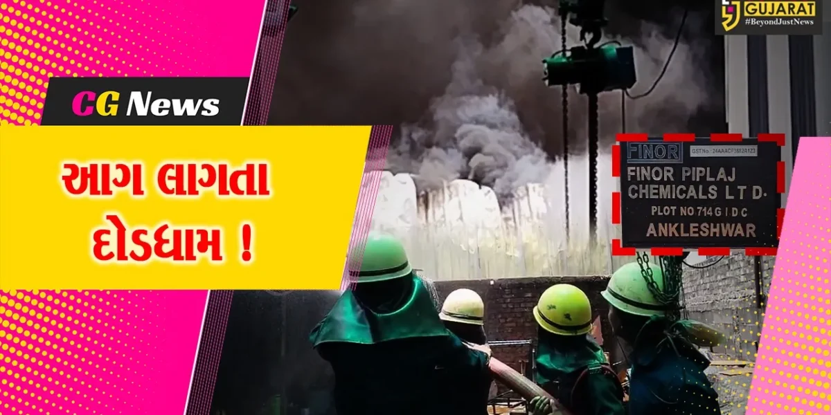અંકલેશ્વર: GIDCની ફીનોર પીપલજ કંપનીમાં આગ લાગતા દોડધામ, ધુમાડાના ગોટેગોટા દૂર દૂર સુધી નજરે પડ્યા