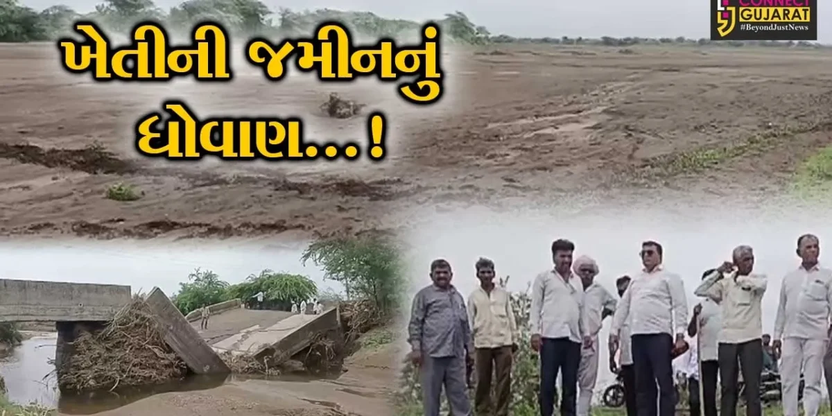 અમરેલી : સાવરકુંડલામાં અનરાધાર વરસાદથી ખેતીની જમીનનું થયું ધોવાણ,22 ફૂટના ખાડા પડતા ખેતી માટે મુશ્કેલ