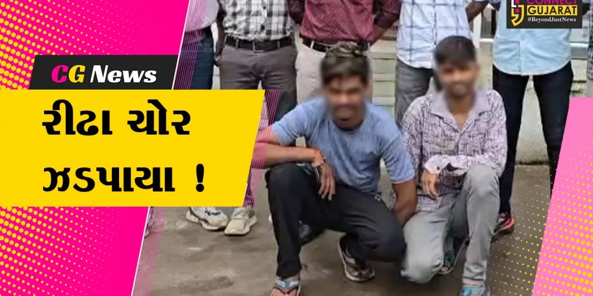 ભરૂચ: દિવસે ગેસ્ટ હાઉસમાં રહી રાતે દુકાનો-મકાનોમાં ચોરી કરતા 2 રીઢા ચોરની એ ડિવિઝન પોલીસે કરી ધરપકડ