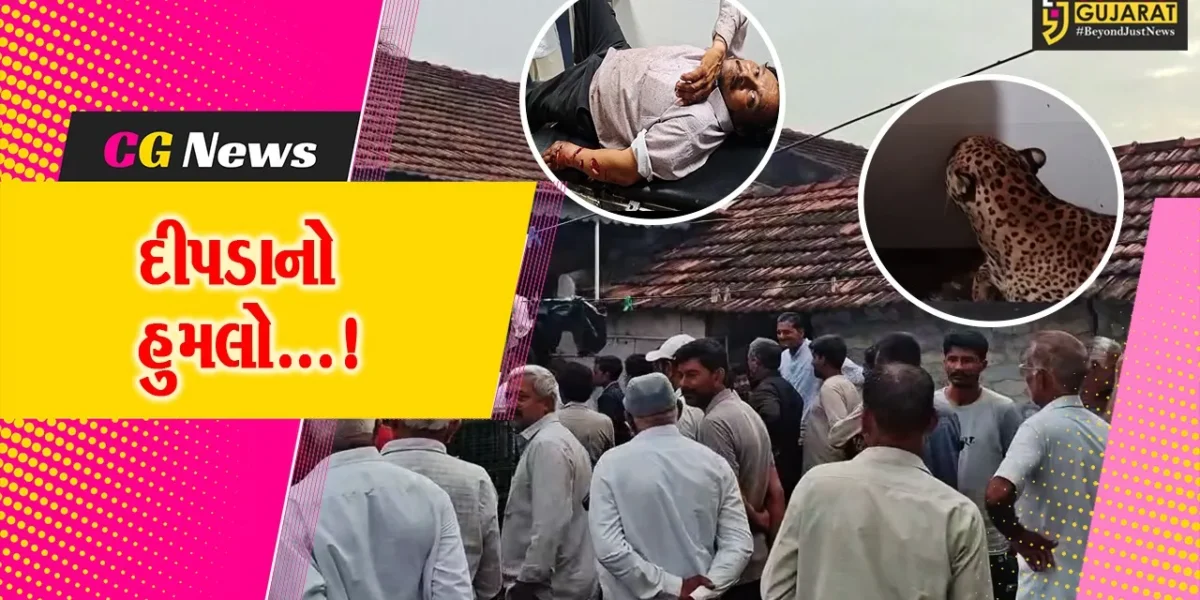 ઉનાના આમોદ્રામાં દીપડાએ ઘરમાં ઘૂસીને ખેડૂત પર કર્યો હુમલો,વન વિભાગે દીપડાને પૂર્યો પાંજરે