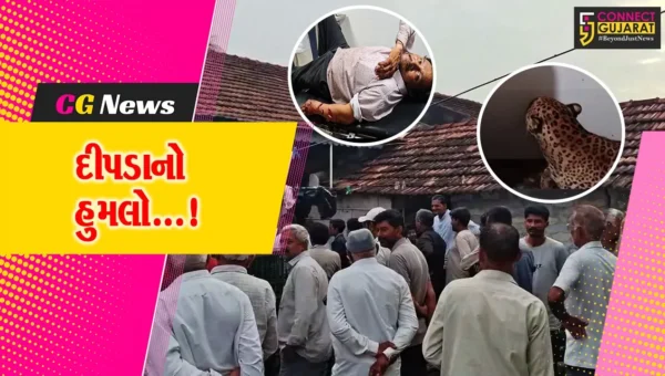 ઉનાના આમોદ્રામાં દીપડાએ ઘરમાં ઘૂસીને ખેડૂત પર કર્યો હુમલો,વન વિભાગે દીપડાને પૂર્યો પાંજરે