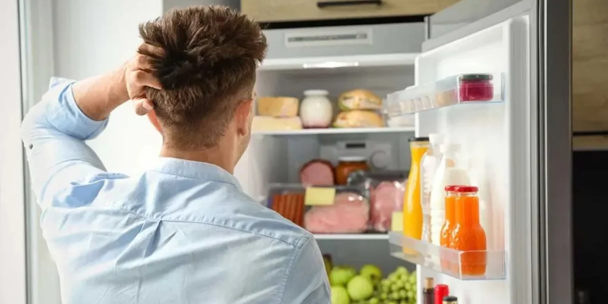 Fridgeમાંથી લીક થઈ રહ્યું છે પાણી? તો તેને કેવી રીતે ઠીક કરવું જાણો અહીં