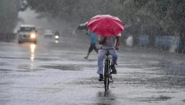ગુજરાતનાં આ શહેરોમાં મેઘરાજા મન મુકીને વરસ્યા,વાવણી લાયક વરસાદ વરસતા ખેડૂતોમાં ખુશી