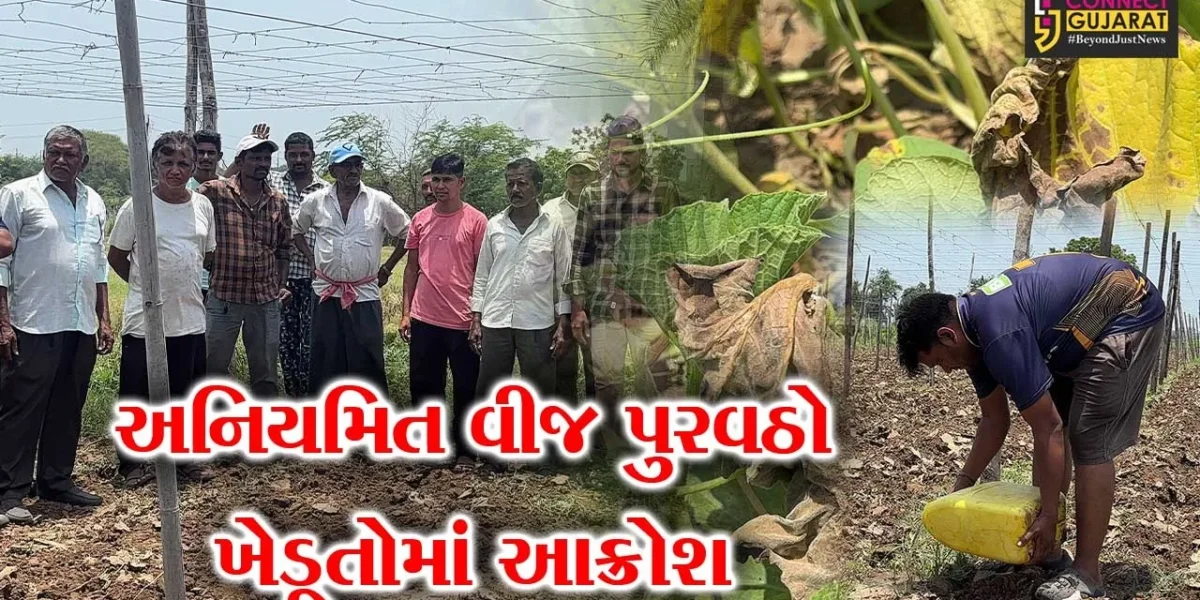 અંકલેશ્વર : સુરવાડી ગામે દસ દિવસથી વીજ પુરવઠો ખોરવાતા ખેડૂતોમાં રોષ,નિયમિત પાણી ન મળતા ઉભો પાક સુકાઈ જવાની ભીતી