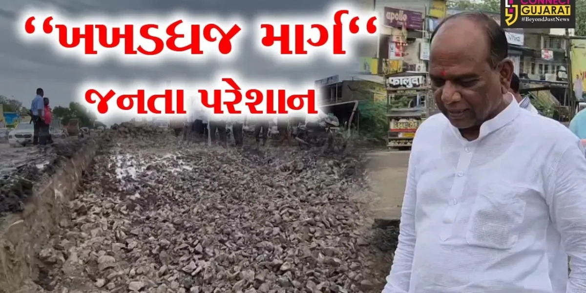 ઝઘડિયા : SOUને જોડતો માર્ગ બન્યો બિસ્માર,સાંસદ મનસુખ વસાવાએ સ્થળ નિરીક્ષણ કરીને યોગ્ય રીતે પેચવર્ક કરવાની આપી સૂચના