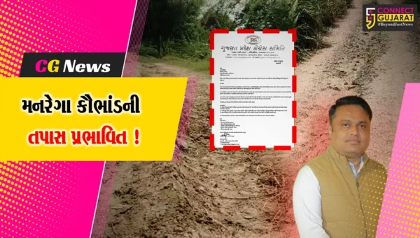 ભરૂચ: મનરેગા કૌભાંડમાં BJPના નેતાઓની સંડોવણીના કારણે તપાસ થઈ રહી છે પ્રભાવિત, કોંગ્રેસના આક્ષેપ
