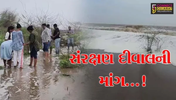 નવસારી : બોરસી ગામ દરિયાના પાણી પ્રવેશતા સ્થાનિકોને હાલાકી,પ્રોટેક્શન વોલના અભાવે વધી સમસ્યા