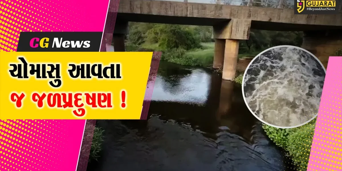 અંકલેશ્વર: હાંસોટ પંથકમાંથી પસાર થતી વનખાડીમાં વહે છે ઉદ્યોગોનું રસાયણયુક્ત પાણી, GPCBને કરાય રજુઆત