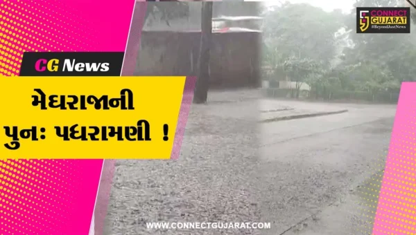 ભરૂચ: સવારના સમયે પવન સાથે ધોધમાર વરસાદ, એક દિવસના વિરામ બાદ મેઘરાજાની પુન: પધરામણી