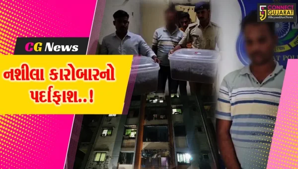 વલસાડ : યુવાધનને નશાના રવાડે ચઢાવનાર લેબર કોન્ટ્રાક્ટરની પોલીસે કરી ધરપકડ, 14 કિલો ગાંજાનો જથ્થો જપ્ત