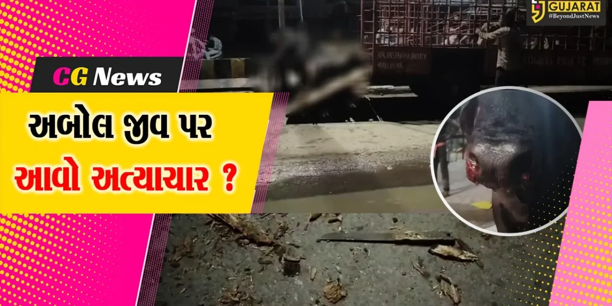 ભરૂચ: નગરપાલિકાની ઢોર પકડનાર ટીમ દ્વારા અત્યંત ક્રૂર અત્યાચાર કરાયો, વિડીયો બહાર આવતા ખળભળાટ