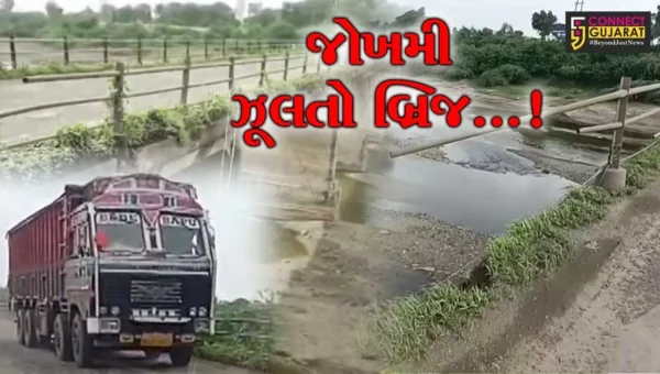 અમરેલી : ગંભીરા બ્રિજની દુર્ઘટના બાદ પણ તંત્રની ઉદાસીનતા,શેત્રુજી નદી પરનો સાત દાયકા જૂનો બ્રિજ ખખડધજ બનતા સમારકામની ઉઠી માંગ