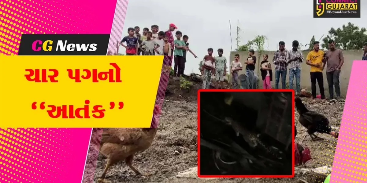 અંકલેશ્વર : ભાદી ગામે દીપડાના આટાફેરાથી ગ્રામજનોમાં ફફડાટ, વન વિભાગ દોડતું થયું…