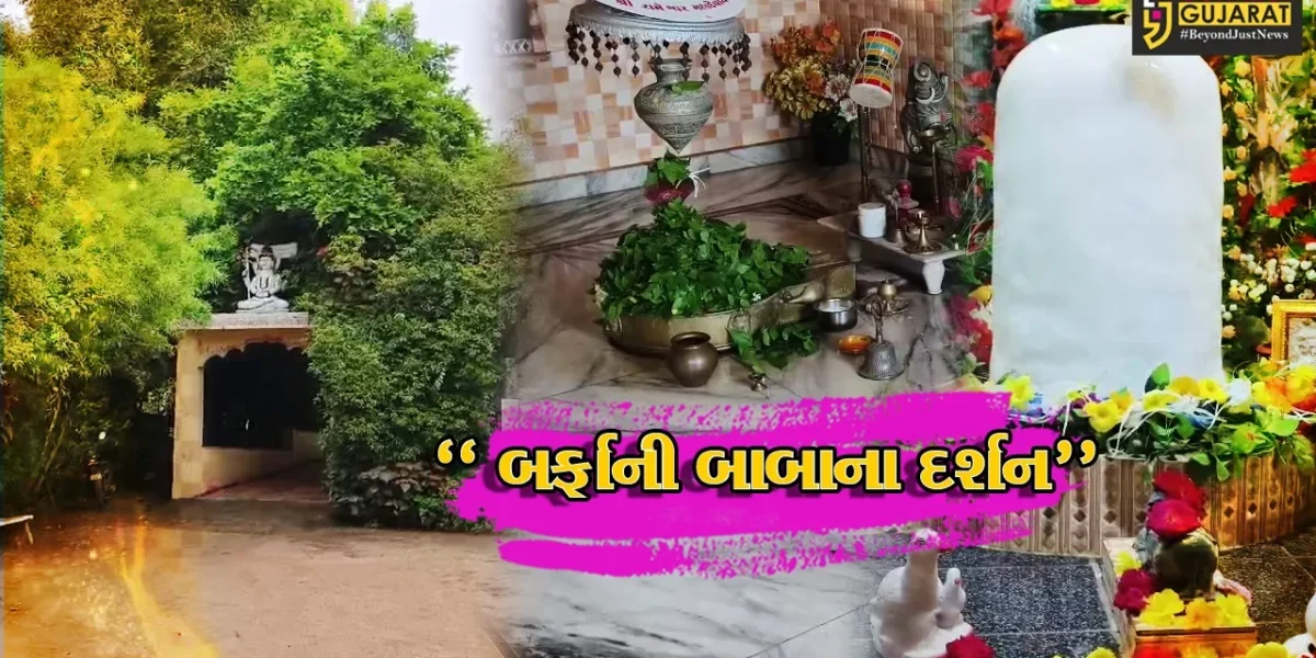 ભરૂચ : શિયાલીના જ્ઞાનયોગ દર્શન આશ્રમમાં શ્રાવણ માસ નિમિતે  બર્ફાની બાબાના દર્શન કરતા શ્રદ્ધાળુઓ