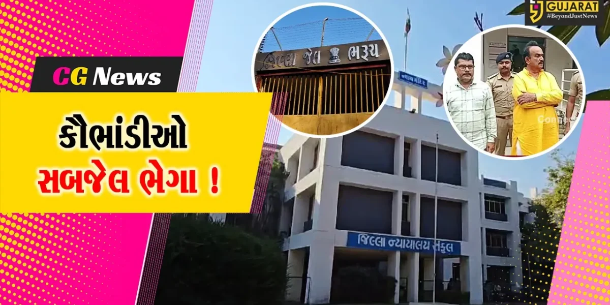ભરૂચ:મનરેગા કૌભાંડમાં સંડોવાયેલ કોંગ્રેસ નેતા હીરા જોટવા સહિત 6 આરોપીઓ સબજેલ ભેગા, કોર્ટે કર્યો હુકમ