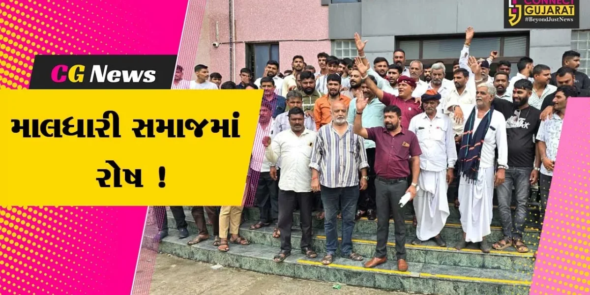 ભરૂચ: માલધારી સમાજ દ્વારા કલેકટરને પાઠવાયું આવેદનપત્ર, રખડતા ઢોર બાબતે હેરાનગતિના આક્ષેપ