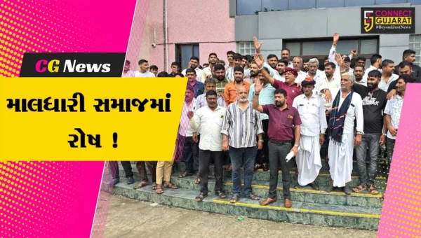 ભરૂચ: માલધારી સમાજ દ્વારા કલેકટરને પાઠવાયું આવેદનપત્ર, રખડતા ઢોર બાબતે હેરાનગતિના આક્ષેપ