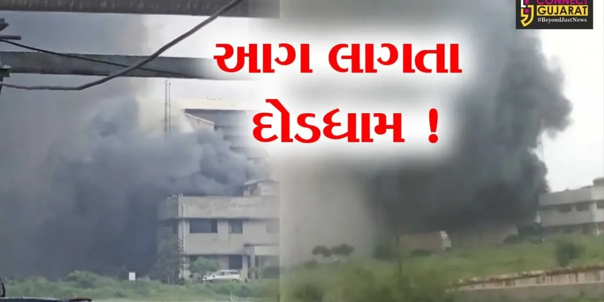 ભરૂચ: દહેજની યુનિવર્સલ કેમિકલ કંપનીમાં આગ ફાટી નિકળતા દોડધામ, ફાયર વિભાગે આગ પર મેળવ્યો કાબુ