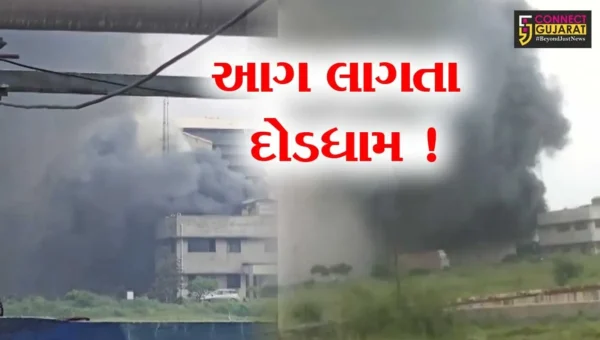 ભરૂચ: દહેજની યુનિવર્સલ કેમિકલ કંપનીમાં આગ ફાટી નિકળતા દોડધામ, ફાયર વિભાગે આગ પર મેળવ્યો કાબુ